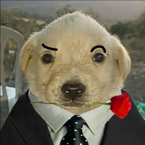 Avatar of ByteHunter77